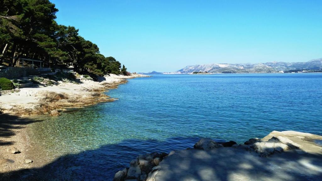 Nice Apartment&Room in Cavtat Buitenkant foto