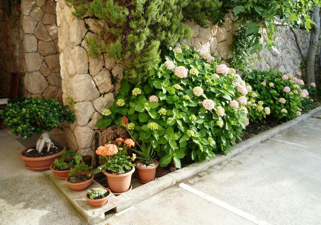 Nice Apartment&Room in Cavtat Buitenkant foto